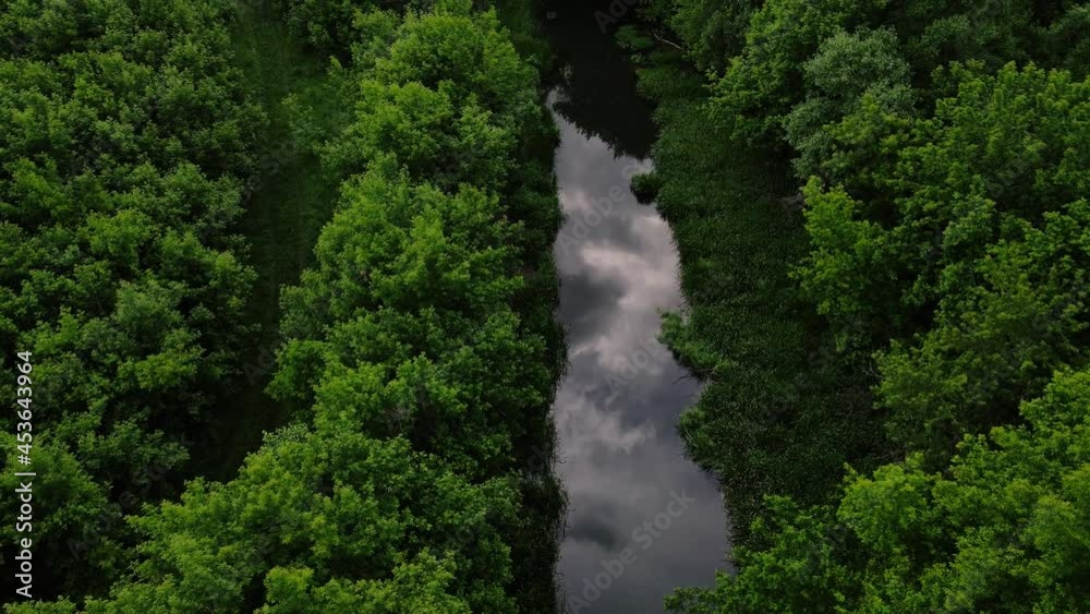 drone movement along the riverbed surrounded by trees drone movement along the riverbed surrounded by trees
