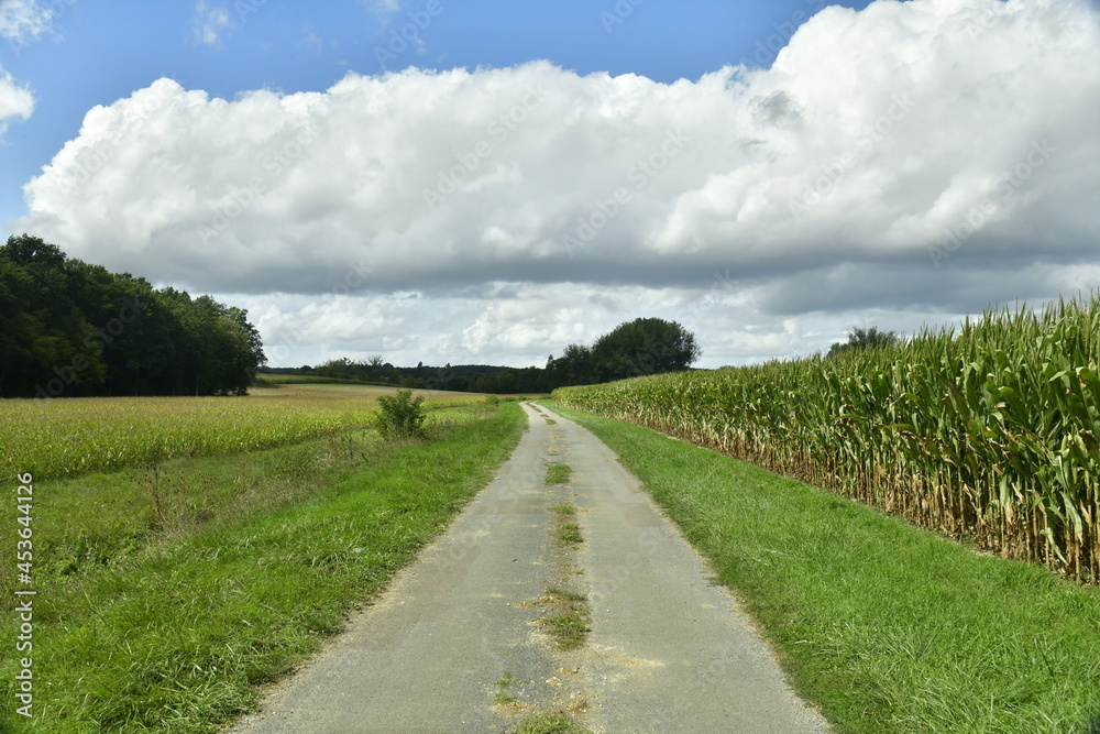 Petite route secondaire de campagne entre les champs, prairies et bois entre les bourg de Champagne et Vendoire au Périgord Vert 