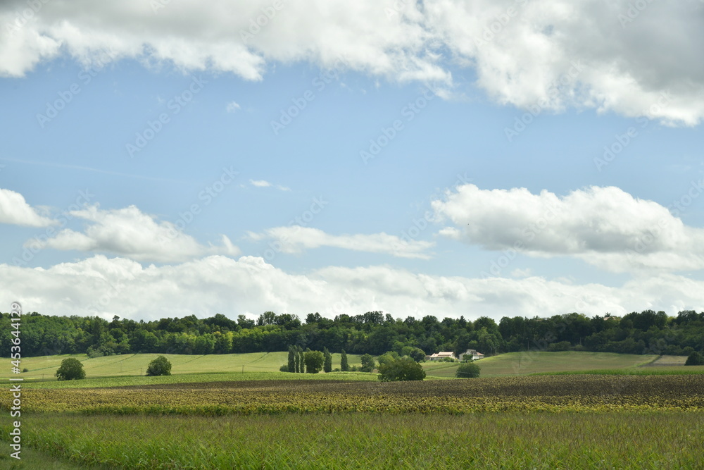 L'ombre d'un nuage sur les champs et prairies à proximité d'un bois près du bourg de Champagne au Périgord Vert 