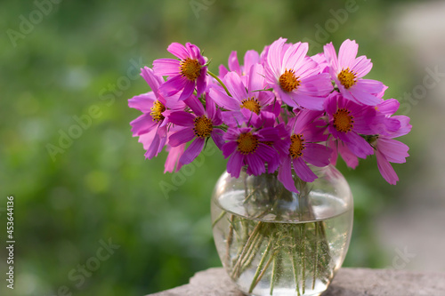 flowers in a vase