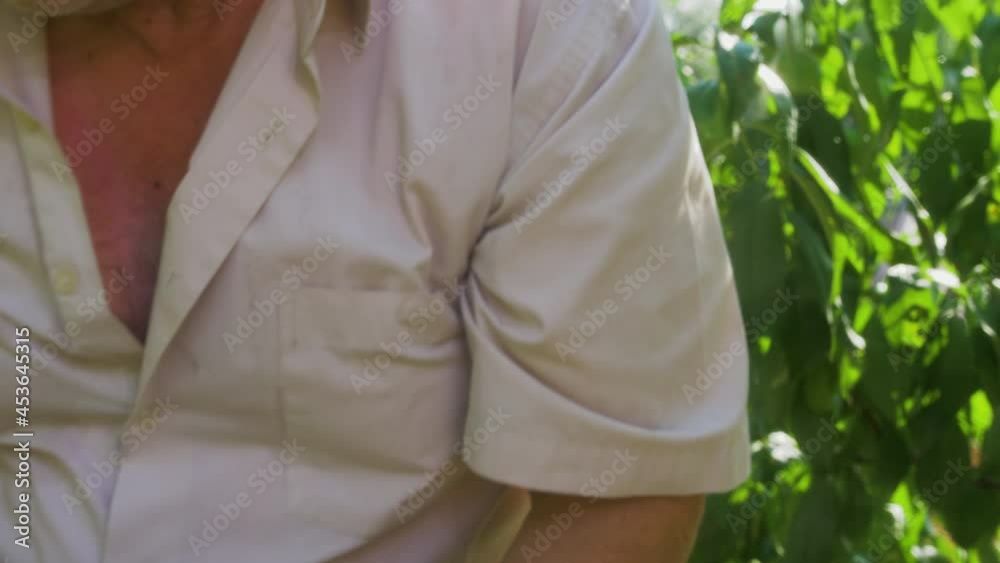 The gardener's hands in protective gloves carefully hold ripe peaches. Bright, juicy and ripe fruits. A sunny, summer picture. Artistic glare of the sun from the cross filter on the lens.