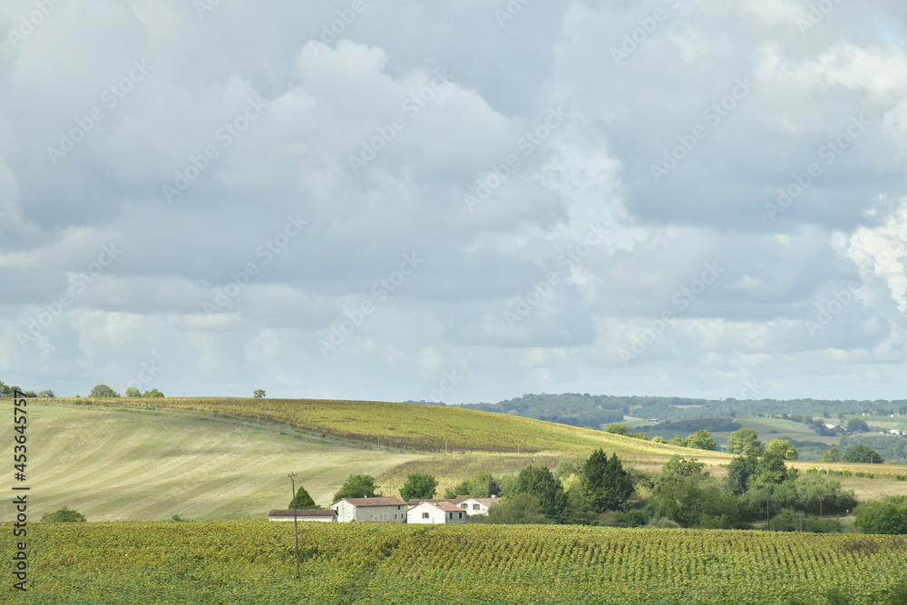 Fototapeta premium Ciel gris et éclaircie au dessus de la campagne du Périgord Vert au Bourg de Vendoire 