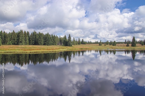 A beautiful water reflection of the landscape with forest, hill and clouds near Bozi Dar, Czech republic