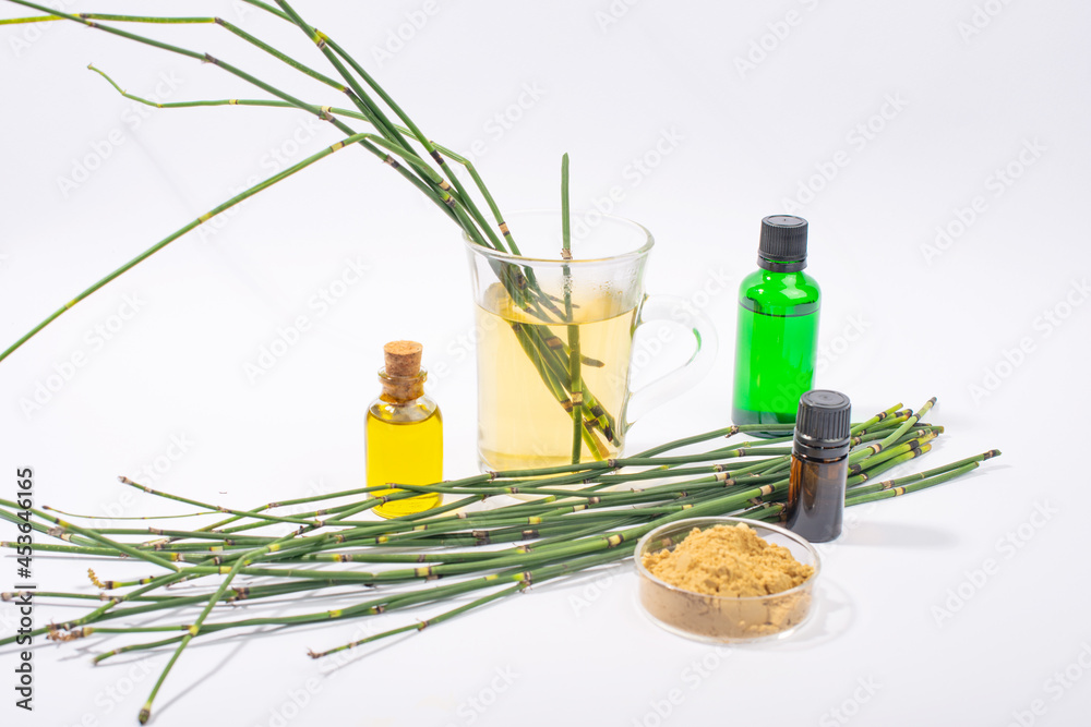 Fototapeta premium Water horsetail herb, horsetail oil, extract and glass of tea on white background.