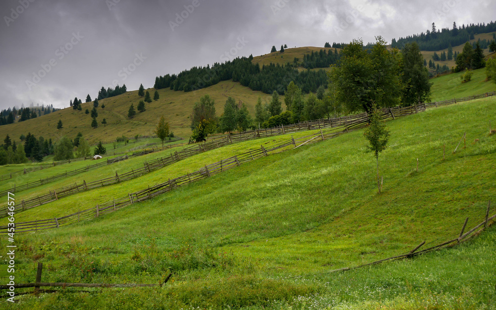 Green hills at late summer with simple wood fences in Transylvania, Romania.