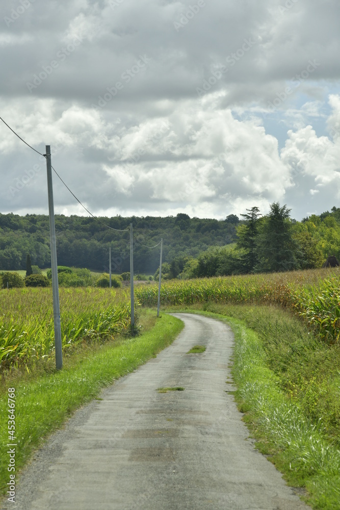 Chemin de campagne en bitume entre les champs de maïs sous un ciel nuageux près du bourg de Champagne au Périgord Vert Chemin de campagne en bitume entre les champs de maïs sous un ciel nuageux près du bourg de Champagne au Périgord Vert