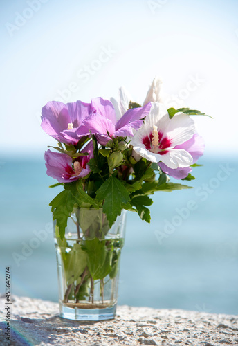 A bouquet of delicate hibiscus in a glass against the background of the sea.