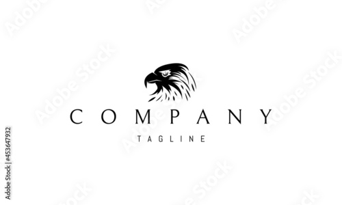 Vector logo on which an abstract image of the head of a hawk.