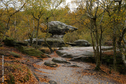 Sandstone rock formation Tiske steny (Tyssaer Wände) with yellow autumn leaves, popular tourist spot, Czech Republic photo