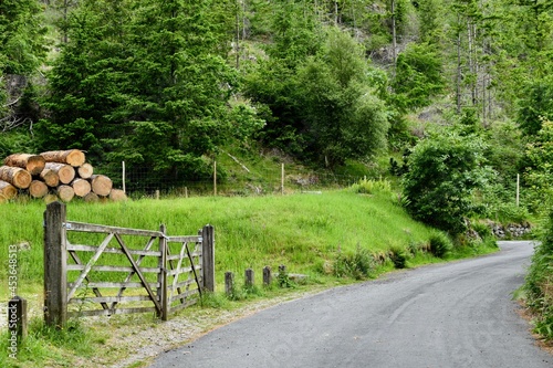 Rural mountain road passing through the forest and tree trunks on the side behind a wooden entrance gate