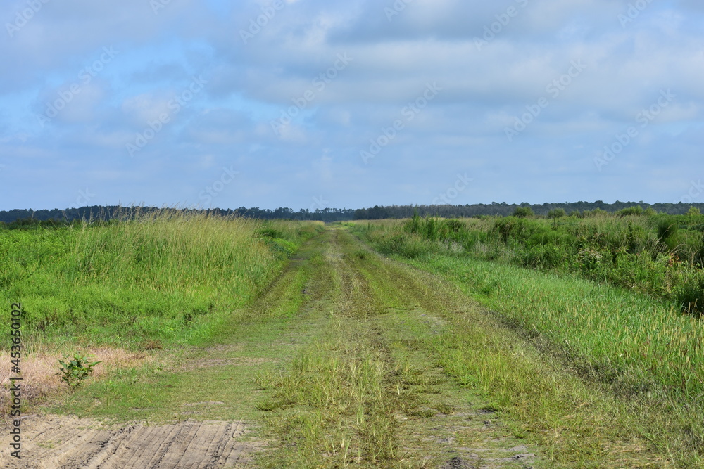 Road through low country farm