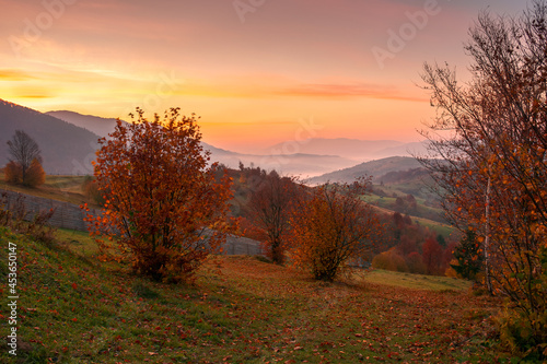 rural landscape at sunrise. beautiful autumnal mountain scenery. trees in fall foliage and wooden fence on the grassy hillside meadow. agricultural fields on the distant rolling hills