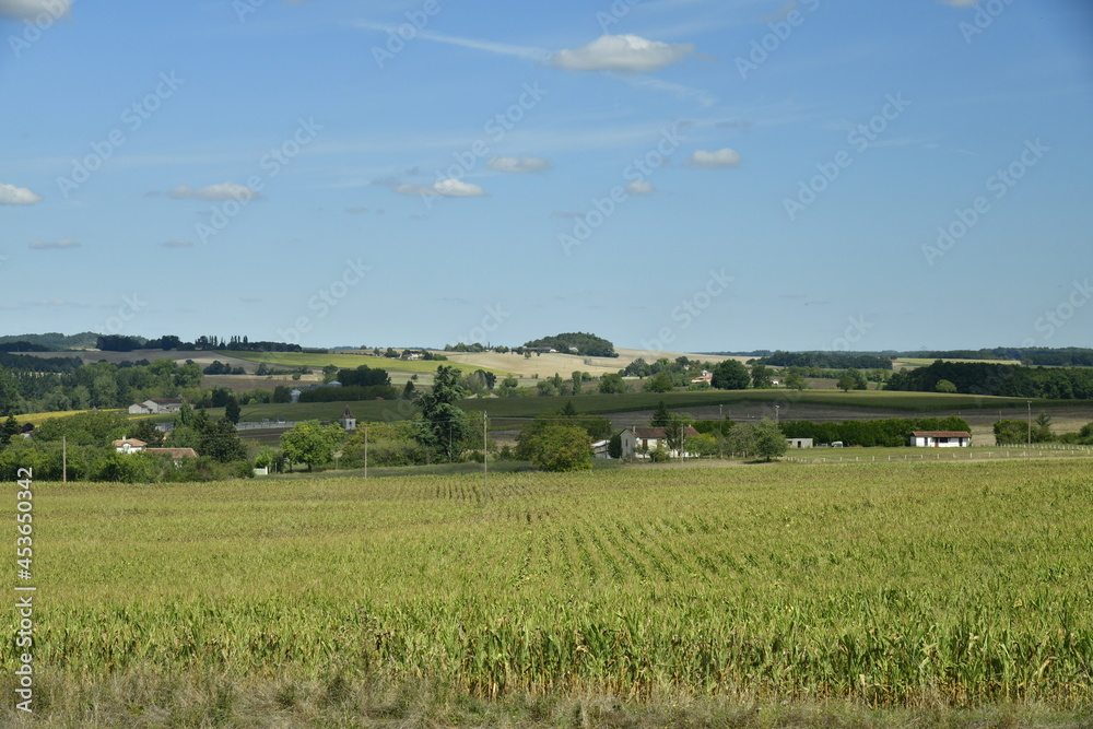 Fototapeta premium Paysage bucolique parsemés de bois ,champs ,prairies et collines au bourg de Champagne au Périgord Vert 