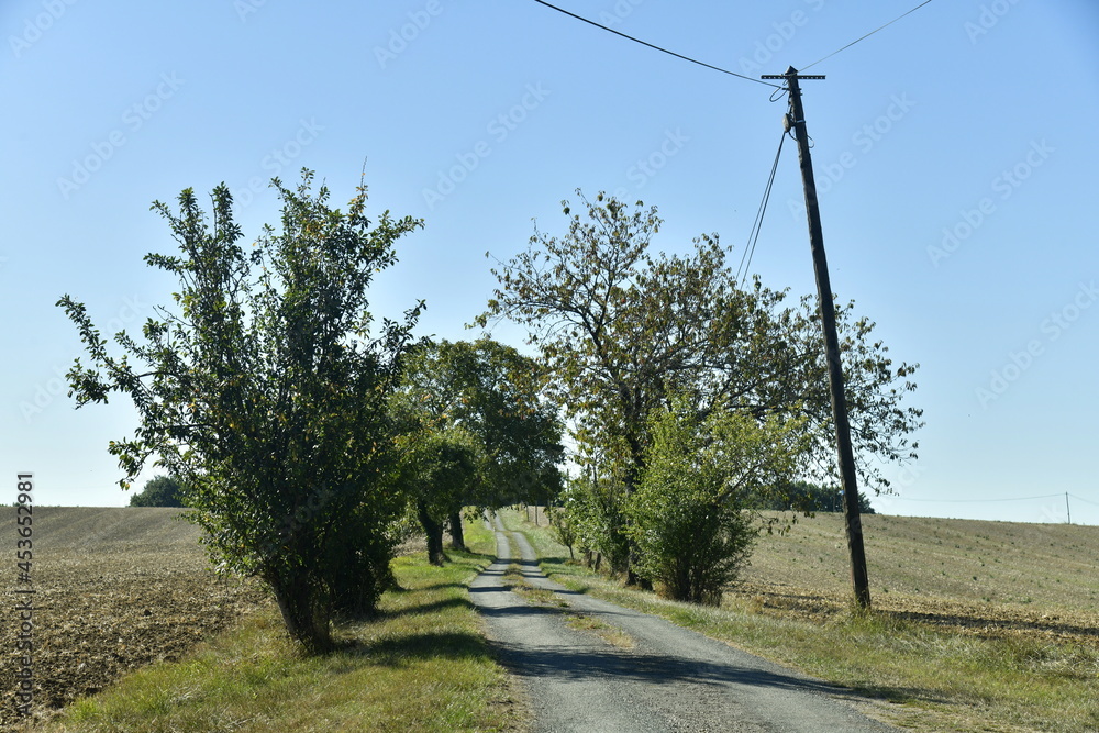 Route étroite de campagne entre les arbustes aux environs de Vendoire au Périgord Vert 