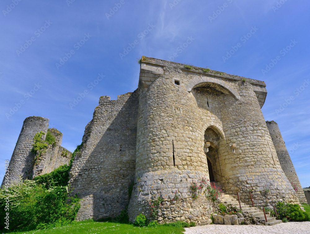 L'imposant château médiéval de Billy (03260), département de l'Allier en région Auvergne-Rhône-Alpes, France