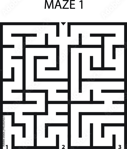 Maze 1, one entrance and three exits
