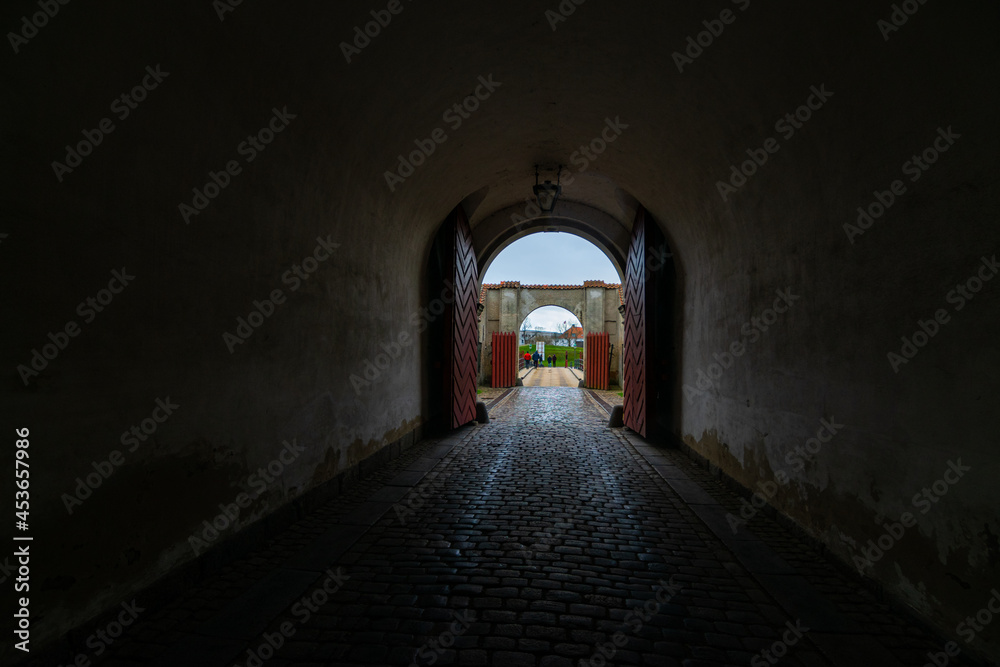 Fototapeta premium Copenhagen, Denmark - February 2020