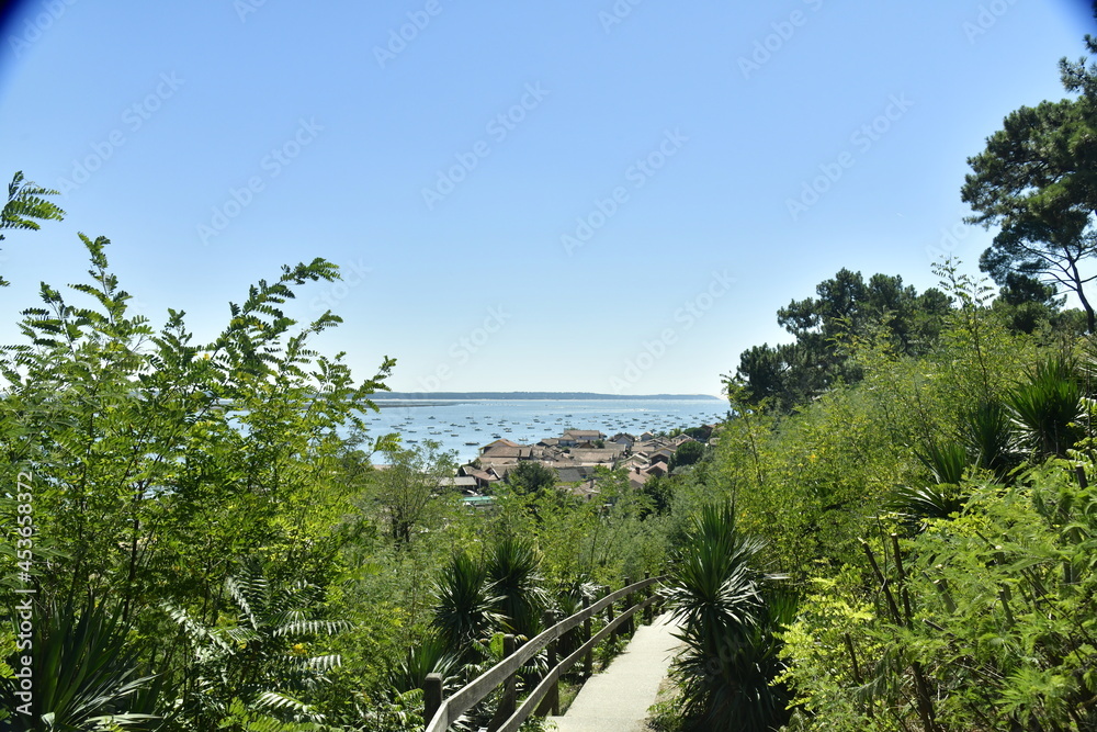 Promenade dans la végétation luxuriante près du village de pêcheurs à l'Herbe dans la Baie d'Arcachon 