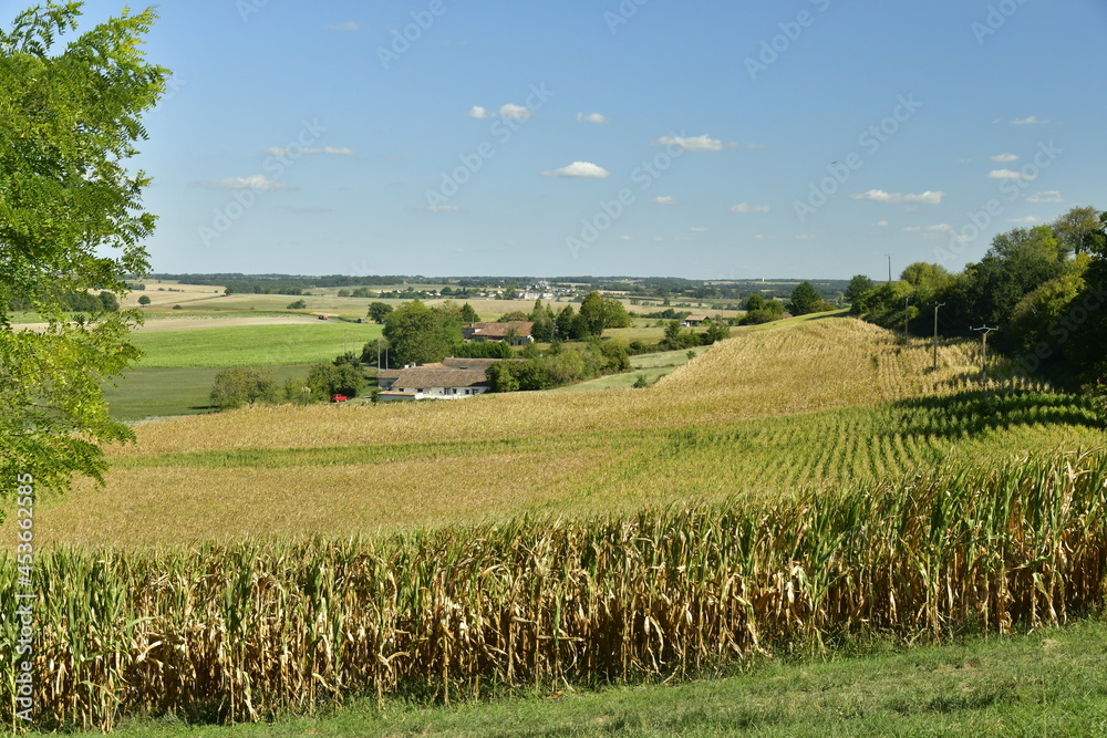 Obraz premium Champs et prairies à perte de vue entre les fermes ,bois isolés en été aux environs du Puy de Versac en Périgord Vert 