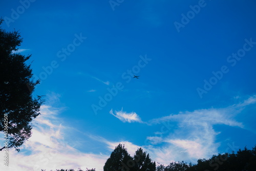 空を見上げた先に飛行機