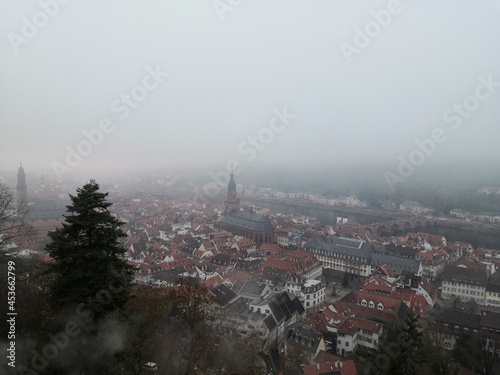 Top view on Heidelberg old town on cloudy day