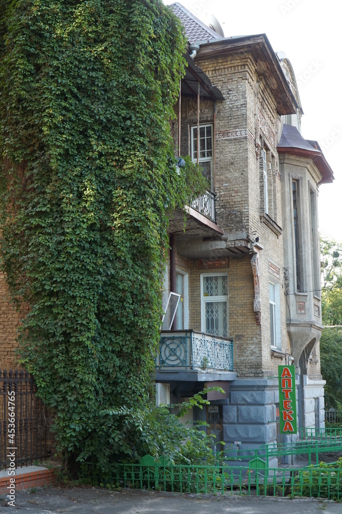 A beautiful old residential building in Kiev, entwined with ivy.