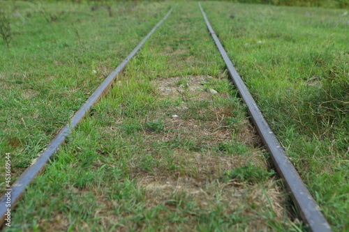 Railway. Narrow gauge railway in the forest