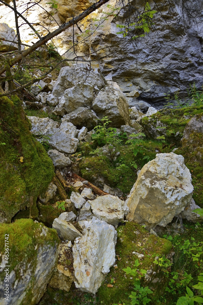 Arch on the steep wall of the karst hole Wolf pit Arch on the steep wall of the karst hole Wolf pit