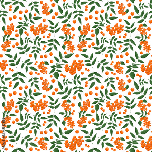 Seamless pattern with branches of rowanberry leaves and berries in autumn
