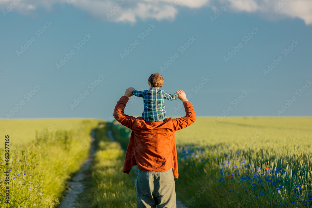 little boy sits on his father's shoulders on a rural road between the wheat fields little boy sits on his father's shoulders on a rural road between the wheat fields