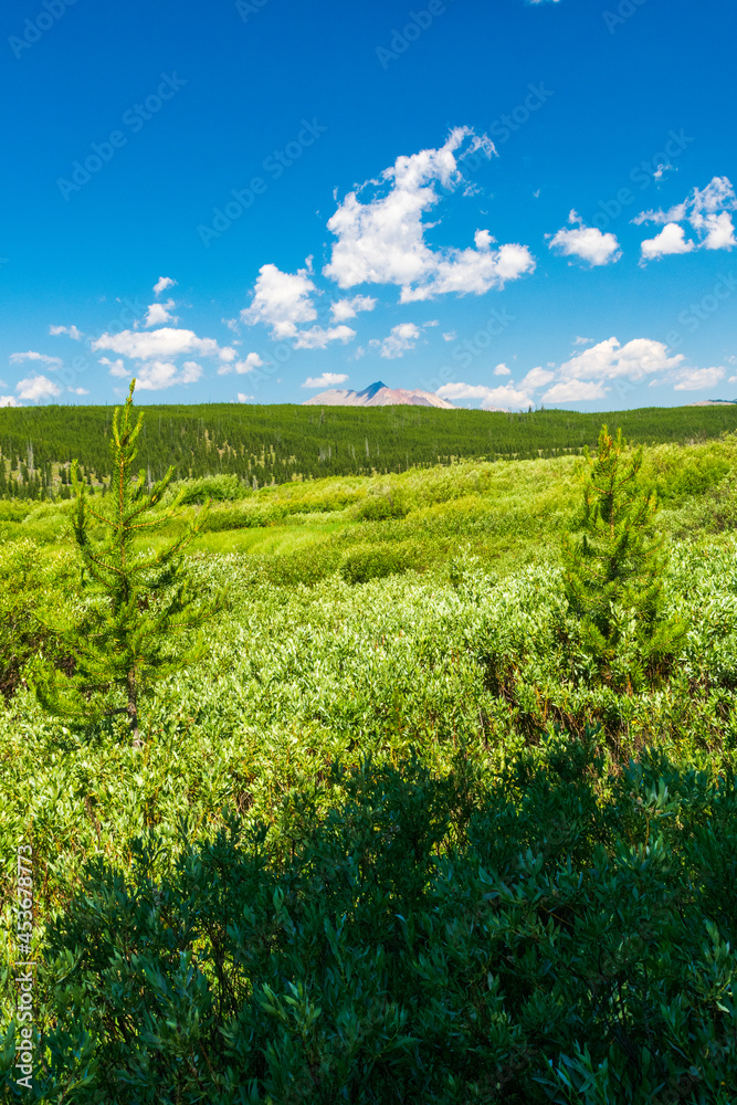 Yellowstone National Park Open Space