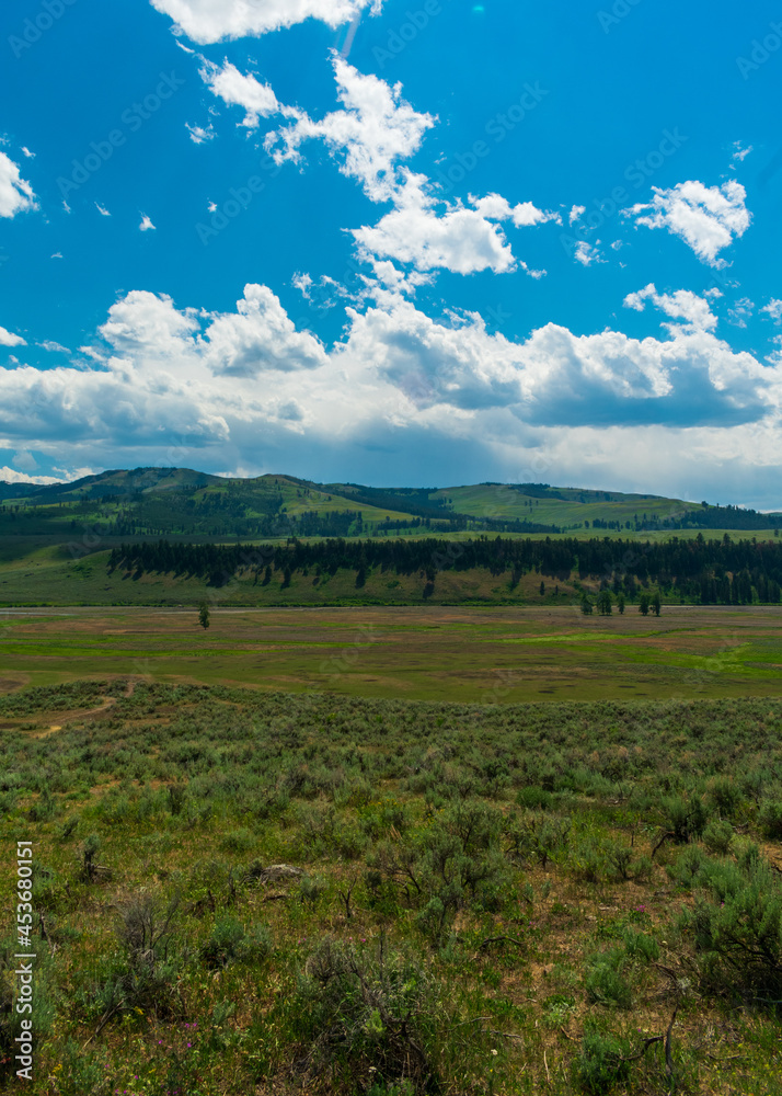 Fototapeta premium Lamar Valley, Yellowstone National Park