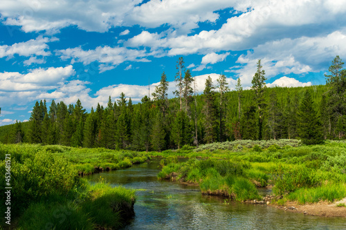 Indian Creek in Yellowstone National Park