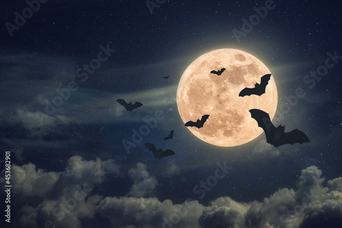 Halloween night with scary full moon and bats