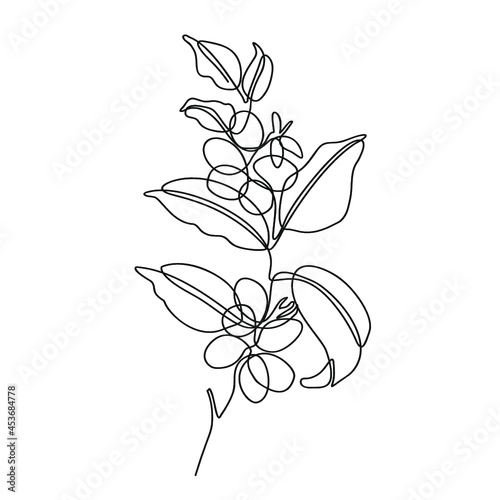 coffee plant oneline