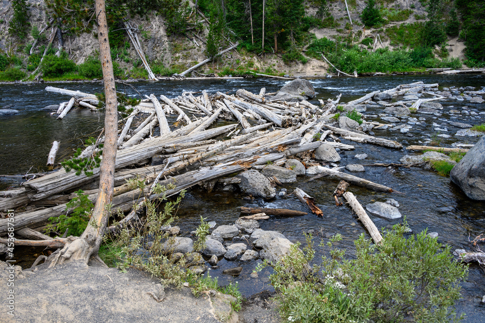 Logjam on the Lewis River, weathered logs caught up on rocks, Yellowstone National Park, USA
Logjam on the Lewis River, weathered logs caught up on rocks, Yellowstone National Park, USA