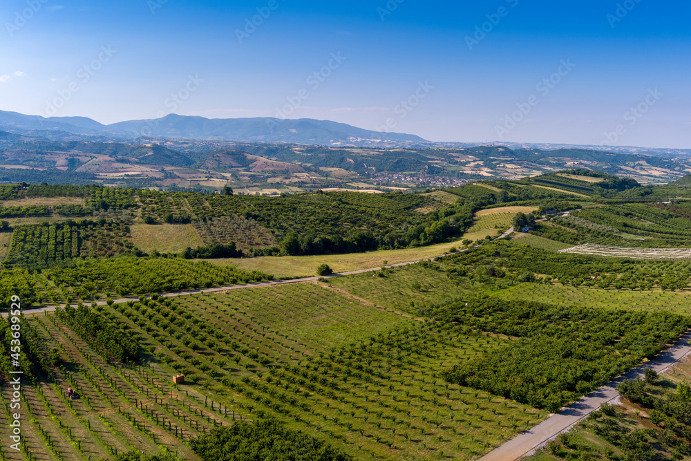 Aerial view over agricultural fields with cherry trees