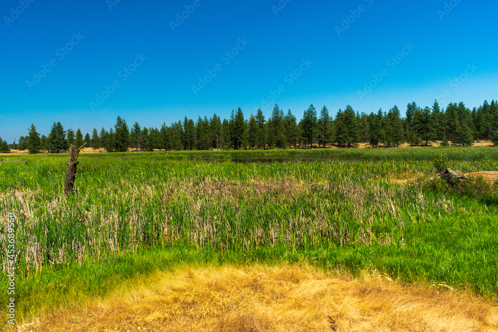 Turnbull National Wildlife Refuge, Cheney, WA Turnbull National Wildlife Refuge, Cheney, WA