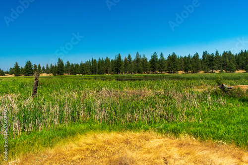 Turnbull National Wildlife Refuge, Cheney, WA