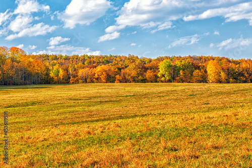 Fototapeta Naklejka Na Ścianę i Meble -  A large field surrounded by a forest area in autumn sometimes