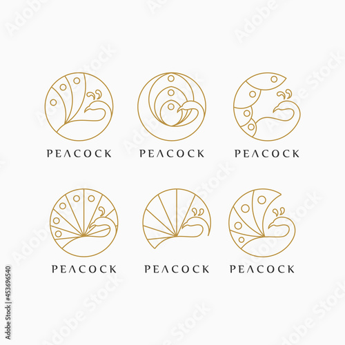 peacock logo idea with line art concept , luxury peacock logo