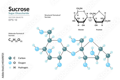 Sucrose. Cane Sugar. Disaccharide. Structural Chemical Formula and Molecule 3d Model. C12H22O11. Atoms with Color Coding. Vector Illustration photo
