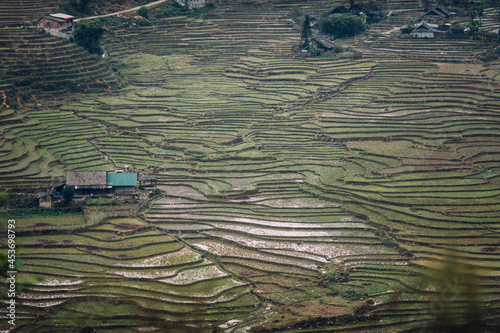 Terrazas de arroz