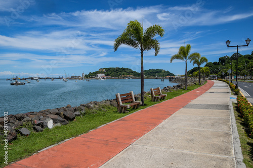 Fototapeta Naklejka Na Ścianę i Meble -  beach with palm trees