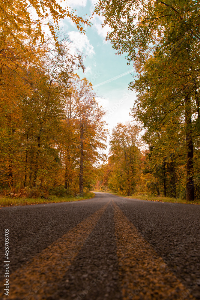 Obraz premium road in autumn