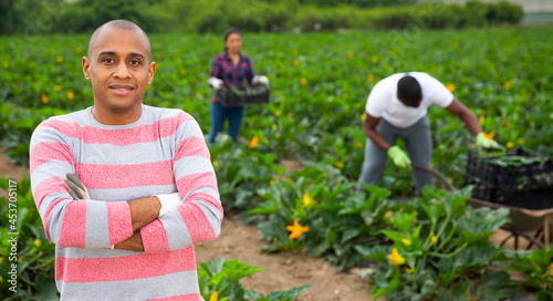 Portrait of successful hispanic grower engaged in cultivation of organic green courgettes posing on vegetable plantation during harvest in spring