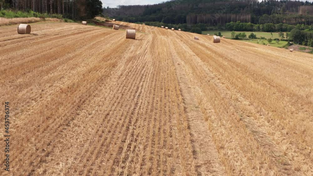 harvested fields with hay bales in the sun harvested fields with hay bales in the sun