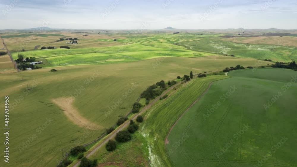 Aerial: Wheat fields, Valleyford, Washington, USA