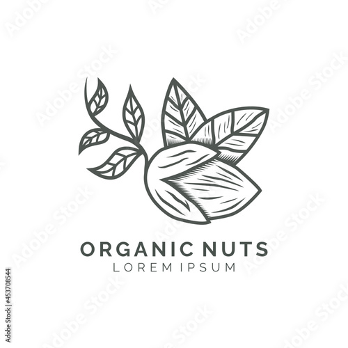 Vintage peanut almond illustration logo design