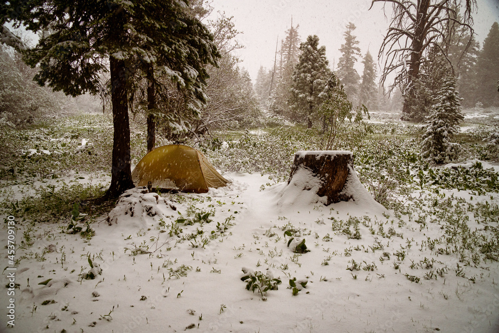 Fototapeta premium Small tent in a snowstorm in the Warner Wilderness